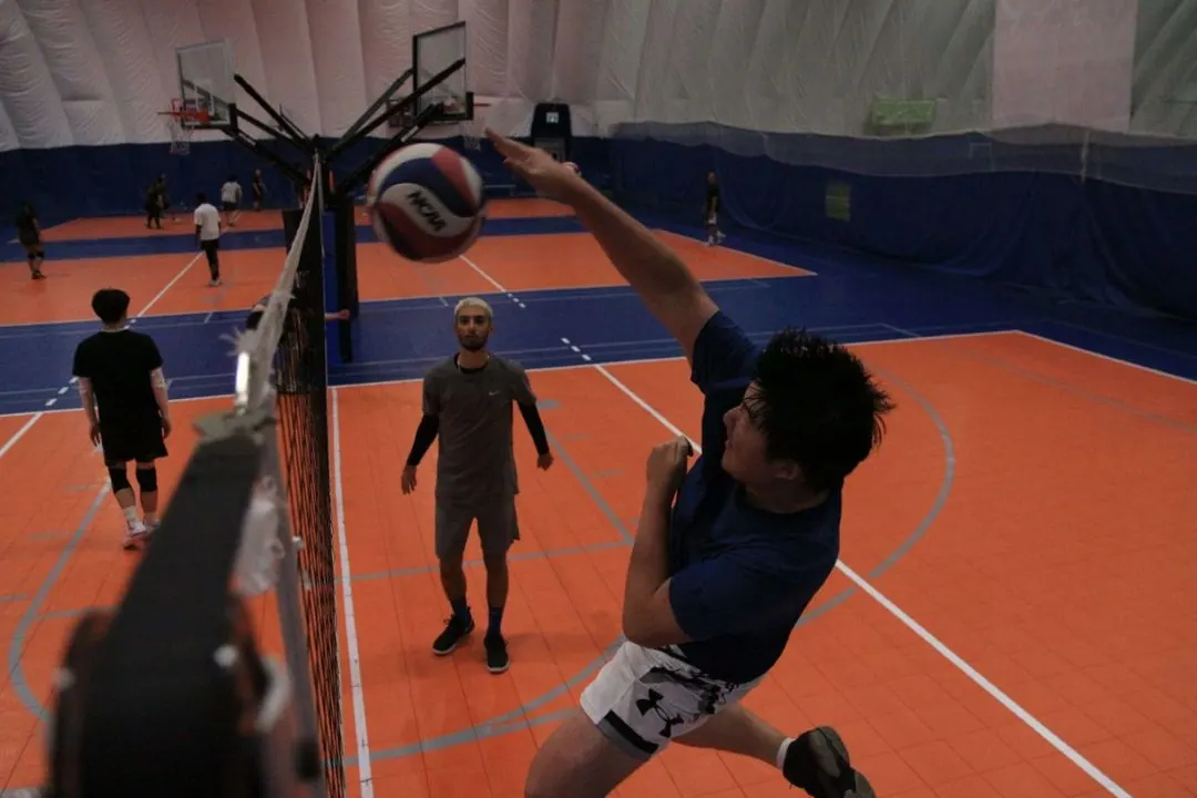 84 Volleyball Slang Terms & Definitions