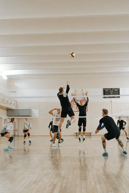 Volleyball 6-Back Formation: Understanding Player Positions
